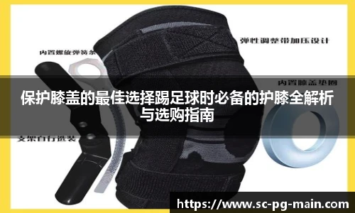pg模拟器